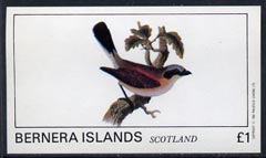 Bernera 1982 Birds #09 imperf  souvenir sheet (£1 value) unmounted mint, stamps on birds   