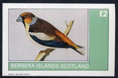 Bernera 1982 Birds #09 imperf  deluxe sheet (Â£2 value) unmounted mint, stamps on birds