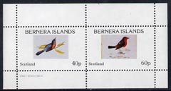 Bernera 1982 Birds #10 perf  set of 2 values (40p & 60p) unmounted mint, stamps on birds