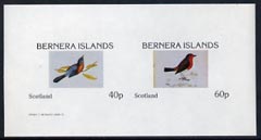 Bernera 1982 Birds #10 imperf  set of 2 values (40p & 60p) unmounted mint , stamps on birds   
