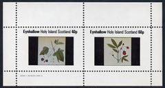 Eynhallow 1982 Fruit (Black currant & Strawberry) perf  set of 2 values (40p & 60p) unmounted mint, stamps on fruit