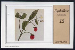 Eynhallow 1982 Fruit (Raspberry) imperf  deluxe sheet (£2 value) unmounted mint, stamps on fruit, stamps on raspberry