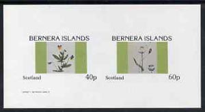 Bernera 1982 Flowers #05 imperf  set of 2 values (40p & 60p) unmounted mint, stamps on flowers, stamps on violas
