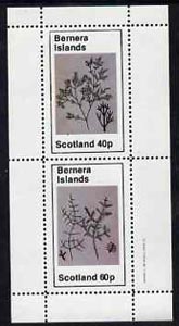 Bernera 1982 Plants #1 perf set of 2 values (40p & 60p) unmounted mint, stamps on , stamps on  stamps on flowers  