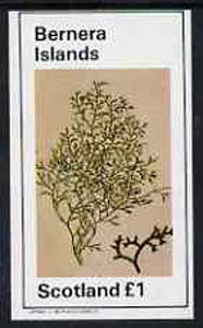 Bernera 1982 Plants #1 imperf souvenir sheet (£1 value) unmounted mint, stamps on flowers  