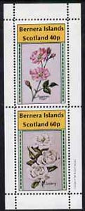 Bernera 1981 Roses (American Pillar & Iceberg) perf  set of 2 values (40p & 60p) unmounted mint