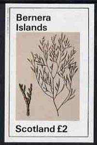 Bernera 1982 Plants #1 imperf deluxe sheet (£2 value) unmounted mint, stamps on flowers  