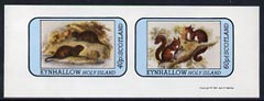 Eynhallow 1981 Animals #04 (Water Rat & Red Squirrel) imperf set of 2 values (40p & 60p) unmounted mint, stamps on , stamps on  stamps on animals     rats      squirrels     rodents