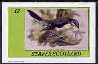 Staffa 1982 Birds #76 (Grey Shrike) imperf deluxe sheet (Â£2 value) unmounted mint, stamps on , stamps on  stamps on birds  shrike