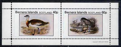 Bernera 1981 Ducks #3 perf  set of 2 values (40p & 60p) unmounted mint, stamps on , stamps on  stamps on birds