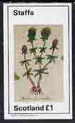 Staffa 1982 Plants #01 (Thyme) imperf  souvenir sheet (£1 value) unmounted mint, stamps on flowers   herbs