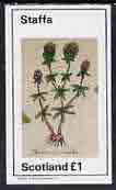 Staffa 1982 Plants #01 (Thyme) imperf  souvenir sheet (Â£1 value) unmounted mint, stamps on , stamps on  stamps on flowers   herbs