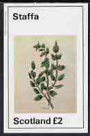 Staffa 1982 Plants #01 (Balm) imperf  deluxe sheet (Â£2 value) unmounted mint, stamps on flowers   herbs