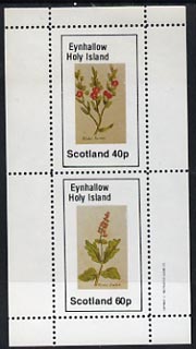 Eynhallow 1982 Plants (Winter Rocket & Savory) perf  set of 2 values (40p & 60p) unmounted mint, stamps on , stamps on  stamps on flowers