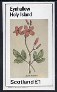 Eynhallow 1982 Plants (Herb Robert) imperf  souvenir sheet (£1 value) unmounted mint, stamps on flowers    herbs