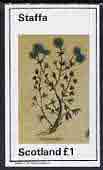 Staffa 1982 Herbs (Coriander) imperf  souvenir sheet (Â£1 value) unmounted mint, stamps on , stamps on  stamps on flowers     herbs & spices