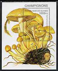 Guinea - Conakry 1995 Mushrooms unmounted mint m/sheet, Mi BL 500, stamps on , stamps on  stamps on fungi