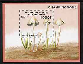 Benin 1996 Mushrooms m/sheet (1000f value) unmounted mint Mi BL 22, stamps on , stamps on  stamps on fungi