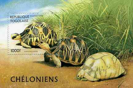 Togo 1996 Turtles unmounted mint m/sheet (1000f) Mi BL 401, stamps on , stamps on  stamps on animals    reptiles    turtles