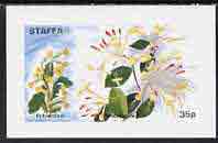 Staffa 1972 Flowers #01 - Polyanthus & Honeysuckle 35p imperf souvenir sheet unmounted mint, stamps on flowers