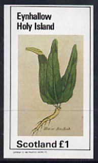 Eynhallow 1982 Vegetables (Horse Raddish) imperf souvenir sheet (£1 value) unmounted mint, stamps on vegetables     food