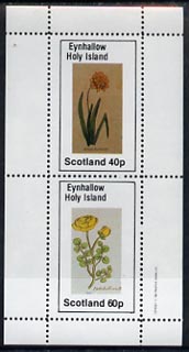 Eynhallow 1982 Flowers #07 (Daffodil & Batchellor) perf set of 2 values (40p & 60p) unmounted mint, stamps on , stamps on  stamps on flowers