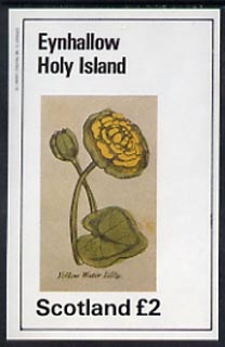 Eynhallow 1982 Flowers #07 (Water Lily) imperf deluxe sheet (£2 value) unmounted mint, stamps on flowers
