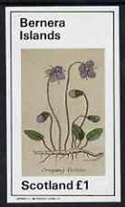 Bernera 1982 Violets (Creeping V) imperf souvenir sheet (Â£1 value) unmounted mint, stamps on , stamps on  stamps on flowers, stamps on  stamps on violas