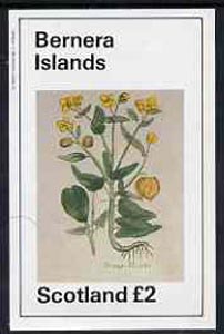 Bernera 1982 Violets (Strange V) imperf deluxe sheet (Â£2 value) unmounted mint, stamps on , stamps on  stamps on flowers