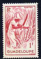 Guadeloupe 1947 Cutting Sugar Cane 1f red unmounted mint, SG 215*, stamps on , stamps on  stamps on sugar