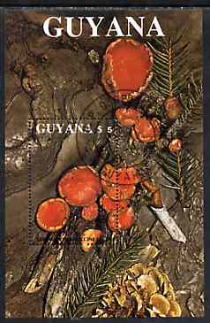 Guyana 1988 Mushrooms $5 m/sheet (Sarcoscy coccinea) very fine cto used , stamps on fungi