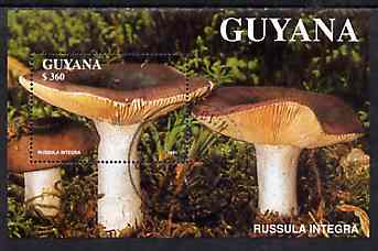 Guyana 1988 Mushrooms $360 m/sheet (Russula integra) very fine cto used , stamps on , stamps on  stamps on fungi