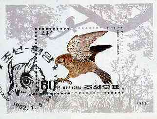 North Korea 1992 Birds of Prey m/sheet (Kestrel) SG MS N3117 very fine cto used, stamps on birds    birds of prey    kestrel 