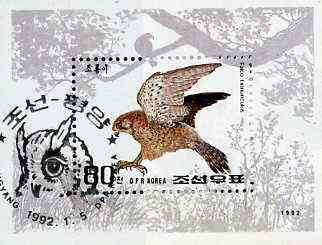 North Korea 1992 Birds of Prey m/sheet (Kestrel) SG MS N3117 very fine cto used, stamps on birds    birds of prey    kestrel