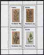 Staffa 1982 Plants #02 (Butchers Brown) perf  set of 4 values (10p to 75p) unmounted mint, stamps on , stamps on  stamps on flowers