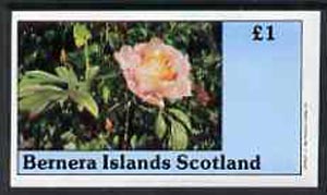 Bernera 1982 Flowers #06 imperf  souvenir sheet (£1 value) unmounted mint, stamps on flowers