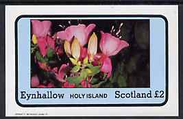 Eynhallow 1982 Flowers #08 (Fuschias) imperf  deluxe sheet (2 value) unmounted mint