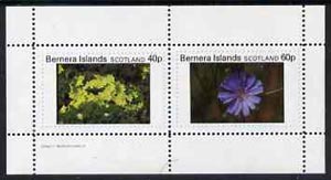 Bernera 1982 Flowers #07 perf  set of 2 values (40p & 60p)  unmounted mint, stamps on , stamps on  stamps on flowers