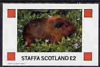 Staffa 1982 Animals (Guinea Pig) imperf  deluxe sheet (£2 value) unmounted mint, stamps on animals   guinea pig