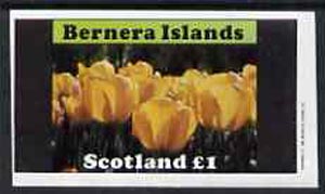 Bernera 1982 Flowers #08 (Tulips) imperf  souvenir sheet (Â£1 value) unmounted mint, stamps on flowers