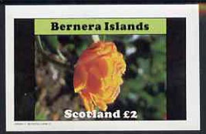 Bernera 1982 Flowers #08 imperf  deluxe sheet (£2 value) unmounted mint, stamps on flowers