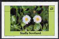 Staffa 1982 Wild Flowers (Daisy) imperf  deluxe sheet (Â£2 value) unmounted mint, stamps on flowers