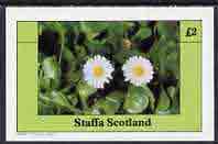 Staffa 1982 Wild Flowers (Daisy) imperf  deluxe sheet (£2 value) unmounted mint, stamps on flowers