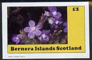 Bernera 1982 Flowers #10 imperf  deluxe sheet (£2 value) unmounted mint, stamps on flowers