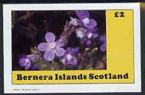 Bernera 1982 Flowers #10 imperf  deluxe sheet (2 value) unmounted mint