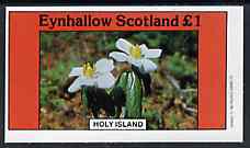 Eynhallow 1982 Flowers #10 imperf  souvenir sheet (£1 value) unmounted mint, stamps on flowers