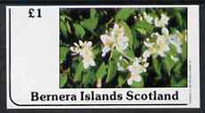 Bernera 1982 Flowers #12 imperf  souvenir sheet (£1 value) unmounted mint, stamps on flowers