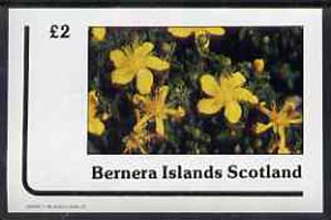 Bernera 1982 Flowers #12 imperf  deluxe sheet (£2 value) unmounted mint, stamps on flowers