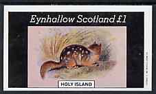 Eynhallow 1982 Rodents imperf souvenir sheet (£1 value) unmounted mint, stamps on animals      rodents