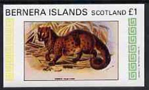 Bernera 1982 Common Palm Civet imperf souvenir sheet (£1 value) unmounted mint, stamps on cats    civet